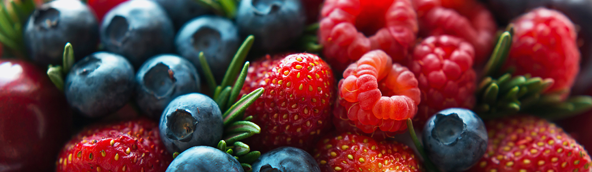Top Banner of Fresh Fruit Berries