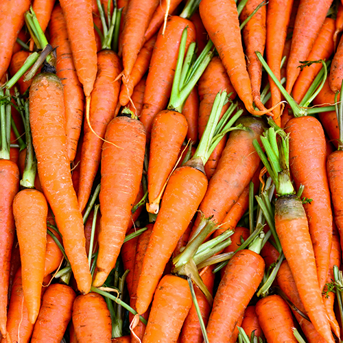 Carrots in a Box