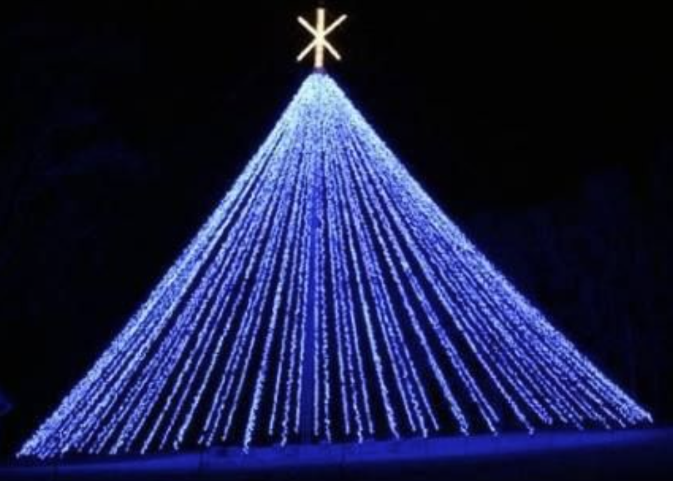 Downs Family Christmas Lights 