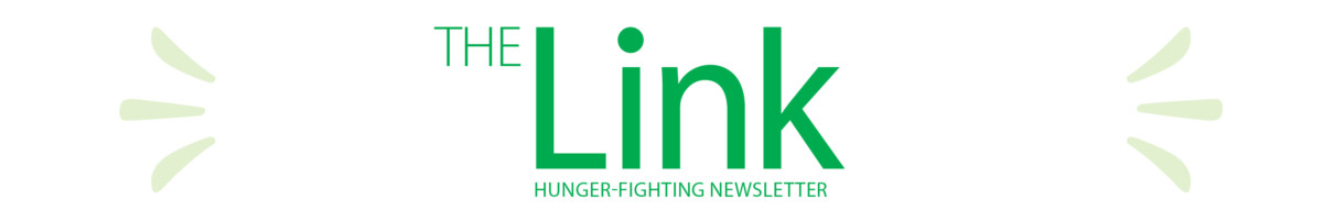The Link Newsletter Banner Fullsize